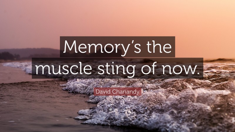 David Chariandy Quote: “Memory’s the muscle sting of now.”