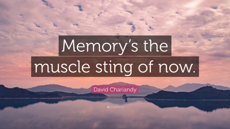 David Chariandy Quote: “Memory’s the muscle sting of now.”