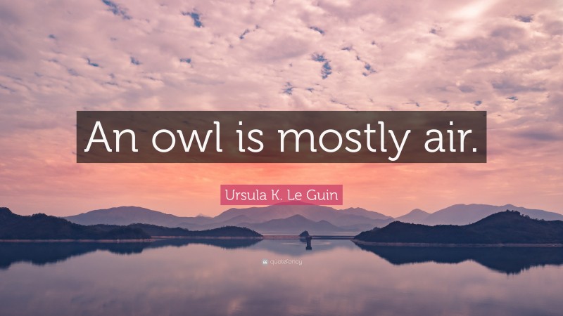 Ursula K. Le Guin Quote: “An owl is mostly air.”