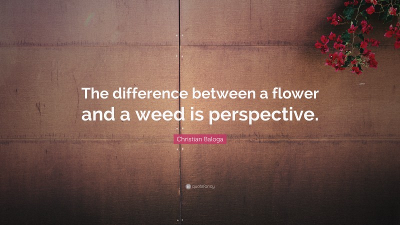 Christian Baloga Quote: “The difference between a flower and a weed is perspective.”