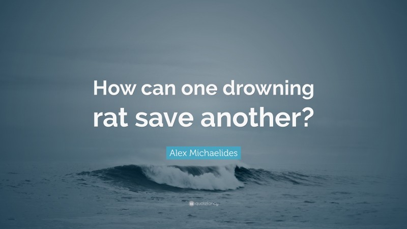 Alex Michaelides Quote: “How can one drowning rat save another?”