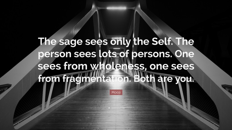 Mooji Quote: “The sage sees only the Self. The person sees lots of persons. One sees from wholeness, one sees from fragmentation. Both are you.”