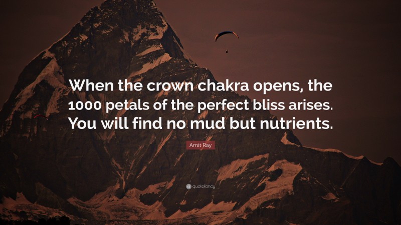 Amit Ray Quote: “When the crown chakra opens, the 1000 petals of the perfect bliss arises. You will find no mud but nutrients.”