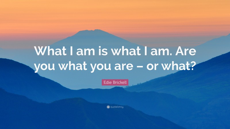 Edie Brickell Quote: “What I am is what I am. Are you what you are – or what?”