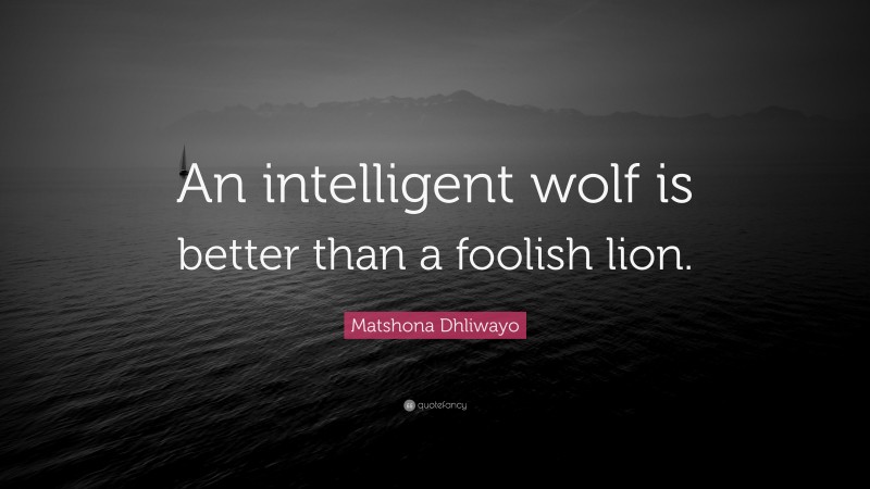 Matshona Dhliwayo Quote: “An intelligent wolf is better than a foolish lion.”