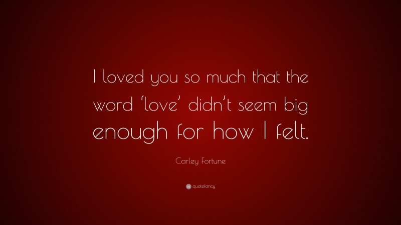 Carley Fortune Quote: “I loved you so much that the word ‘love’ didn’t seem big enough for how I felt.”