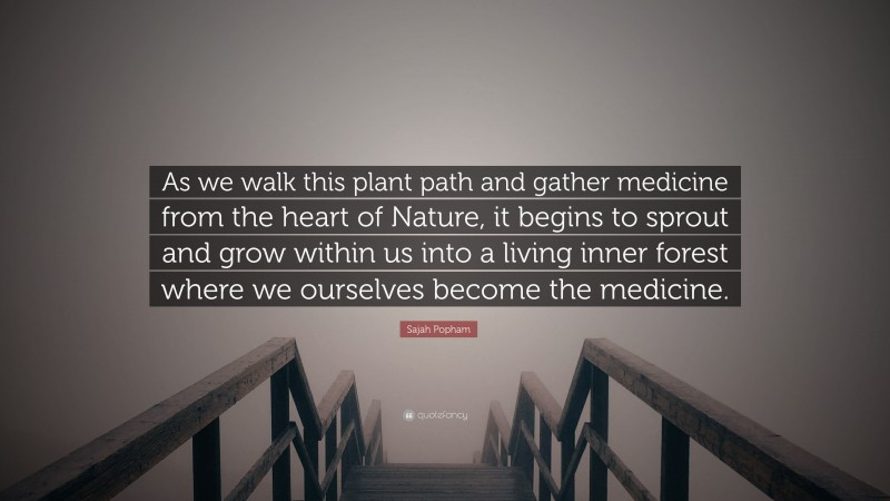 Sajah Popham Quote: “As we walk this plant path and gather medicine from the heart of Nature, it begins to sprout and grow within us into a living inner forest where we ourselves become the medicine.”
