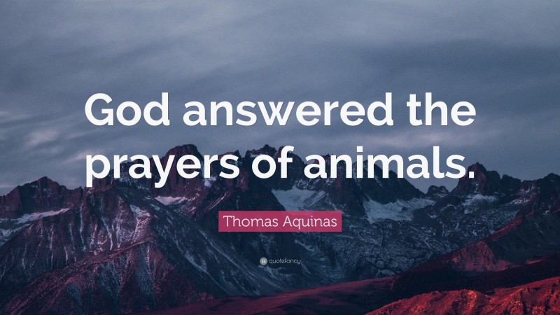 Thomas Aquinas Quote: “God answered the prayers of animals.”