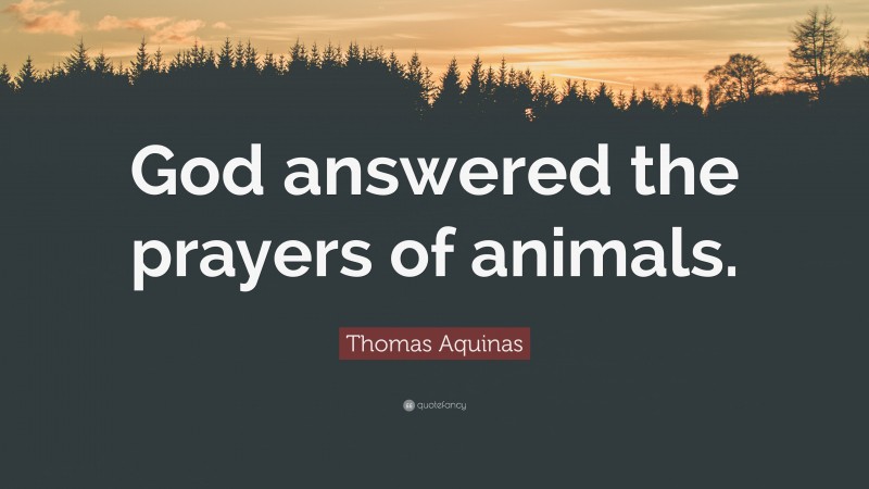 Thomas Aquinas Quote: “God answered the prayers of animals.”