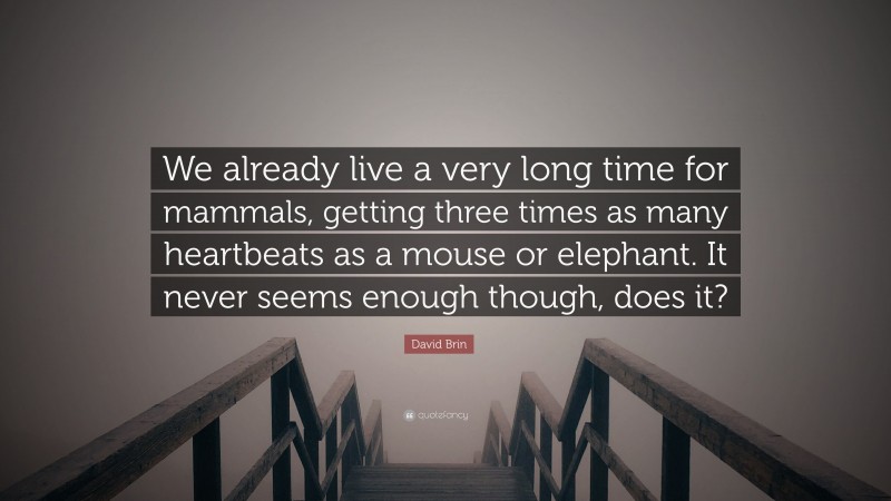 David Brin Quote: “We already live a very long time for mammals, getting three times as many heartbeats as a mouse or elephant. It never seems enough though, does it?”