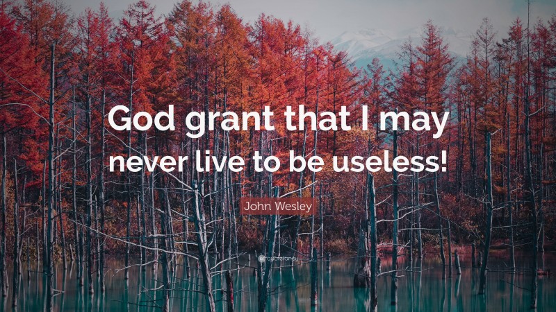 John Wesley Quote: “God grant that I may never live to be useless!”