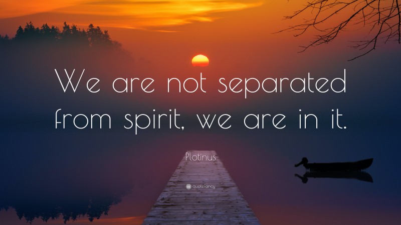 Plotinus Quote: “We are not separated from spirit, we are in it.”