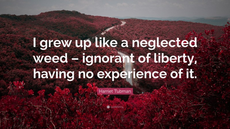 Harriet Tubman Quote: “I grew up like a neglected weed – ignorant of liberty, having no experience of it.”