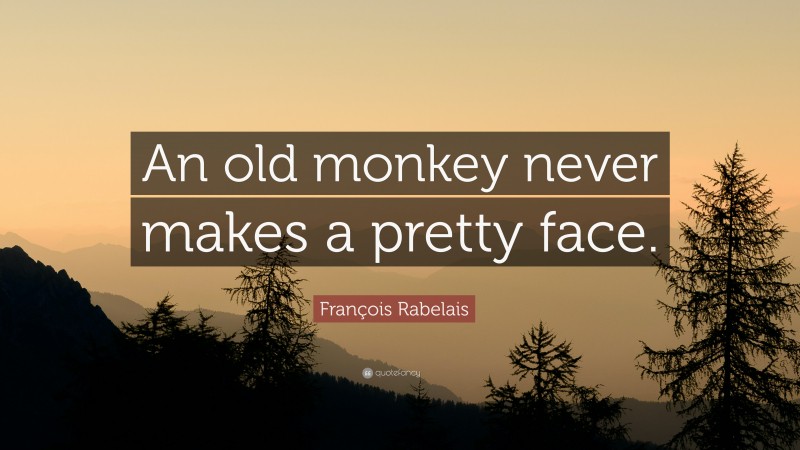 François Rabelais Quote: “An old monkey never makes a pretty face.”