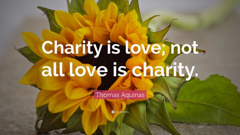 Thomas Aquinas Quote: “Charity is love; not all love is charity.”