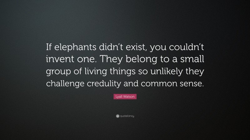Lyall Watson Quote: “If elephants didn’t exist, you couldn’t invent one. They belong to a small group of living things so unlikely they challenge credulity and common sense.”