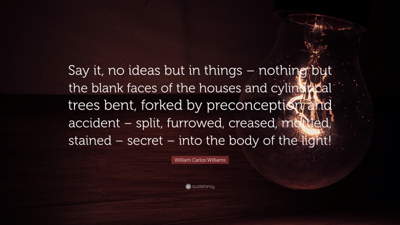William Carlos Williams Quote: “Say it, no ideas but in things – nothing but the blank faces of the houses and cylindrical trees bent, forked by preconception and accident – split, furrowed, creased, mottled, stained – secret – into the body of the light!”