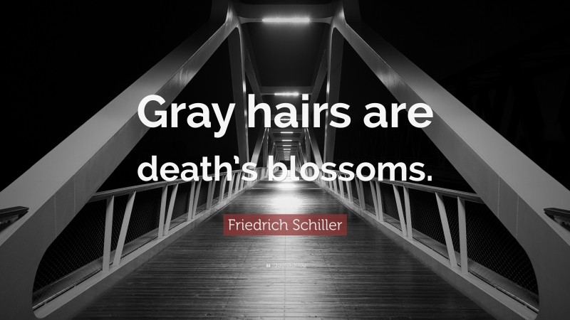 Friedrich Schiller Quote: “Gray hairs are death’s blossoms.”