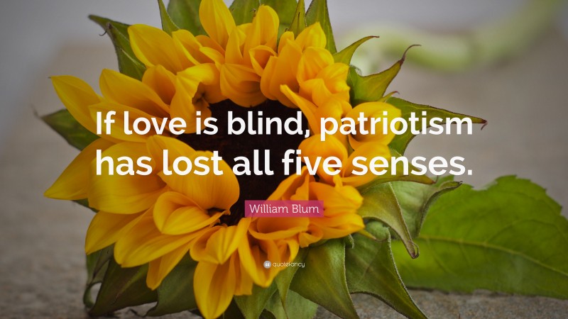 William Blum Quote: “If love is blind, patriotism has lost all five senses.”