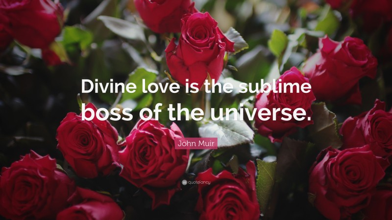 John Muir Quote: “Divine love is the sublime boss of the universe.”