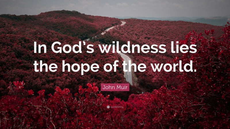 John Muir Quote: “In God’s wildness lies the hope of the world.”