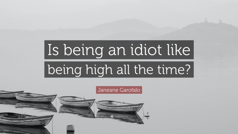 Janeane Garofalo Quote: “Is being an idiot like being high all the time?”