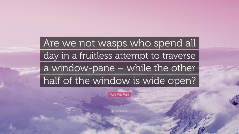 Wei Wu Wei Quote: “Are we not wasps who spend all day in a fruitless attempt to traverse a window-pane – while the other half of the window is wide open?”