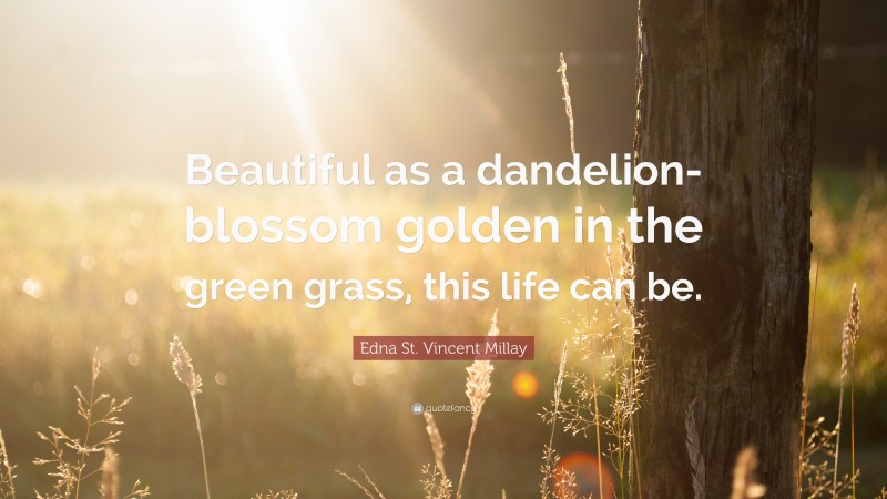 Edna St. Vincent Millay Quote: “Beautiful as a dandelion-blossom golden in the green grass, this life can be.”