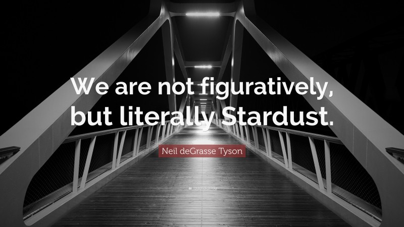 Neil deGrasse Tyson Quote: “We are not figuratively, but literally Stardust.”