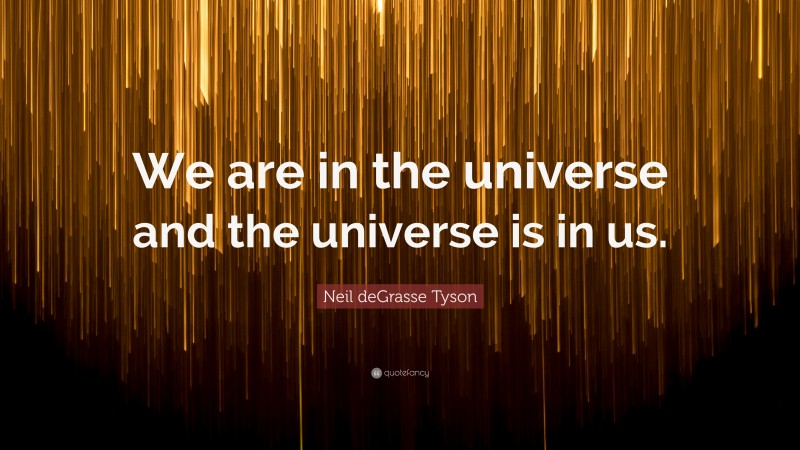 Neil deGrasse Tyson Quote: “We are in the universe and the universe is in us.”
