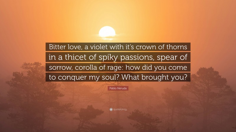 Pablo Neruda Quote: “Bitter love, a violet with it’s crown of thorns in a thicet of spiky passions, spear of sorrow, corolla of rage: how did you come to conquer my soul? What brought you?”