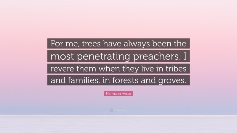 Hermann Hesse Quote: “For me, trees have always been the most penetrating preachers. I revere them when they live in tribes and families, in forests and groves.”