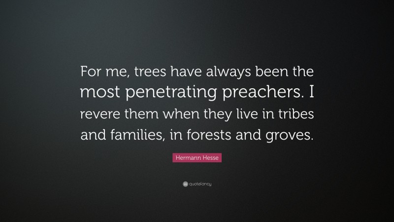 Hermann Hesse Quote: “For me, trees have always been the most penetrating preachers. I revere them when they live in tribes and families, in forests and groves.”