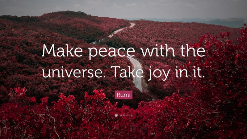 Rumi Quote: “Make peace with the universe. Take joy in it.”