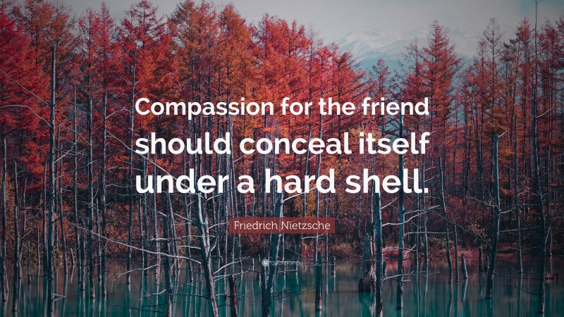 Friedrich Nietzsche Quote: “Compassion for the friend should conceal itself under a hard shell.”