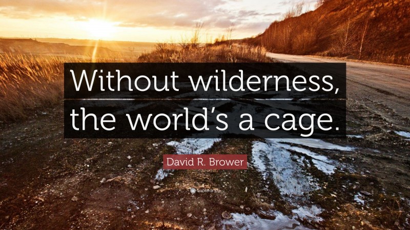 David R. Brower Quote: “Without wilderness, the world’s a cage.”