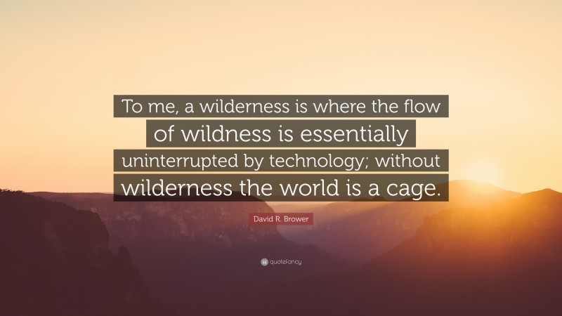 David R. Brower Quote: “To me, a wilderness is where the flow of wildness is essentially uninterrupted by technology; without wilderness the world is a cage.”