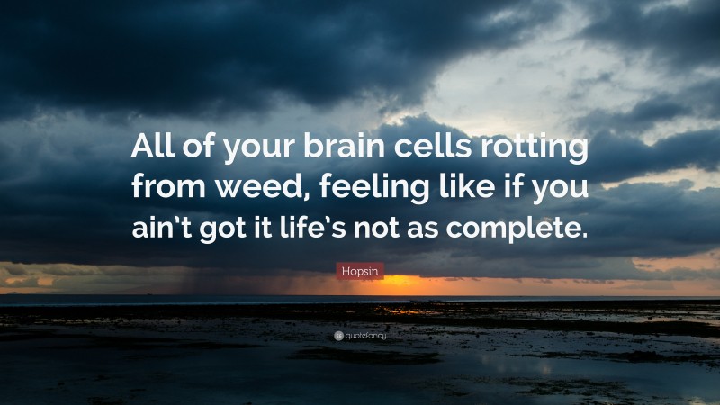 Hopsin Quote: “All of your brain cells rotting from weed, feeling like if you ain’t got it life’s not as complete.”