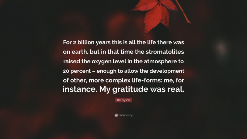 Bill Bryson Quote: “For 2 billion years this is all the life there was on earth, but in that time the stromatolites raised the oxygen level in the atmosphere to 20 percent – enough to allow the development of other, more complex life-forms: me, for instance. My gratitude was real.”