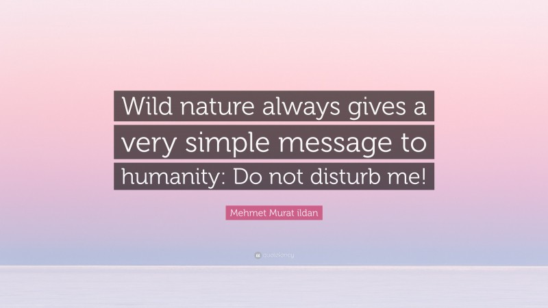 Mehmet Murat ildan Quote: “Wild nature always gives a very simple message to humanity: Do not disturb me!”