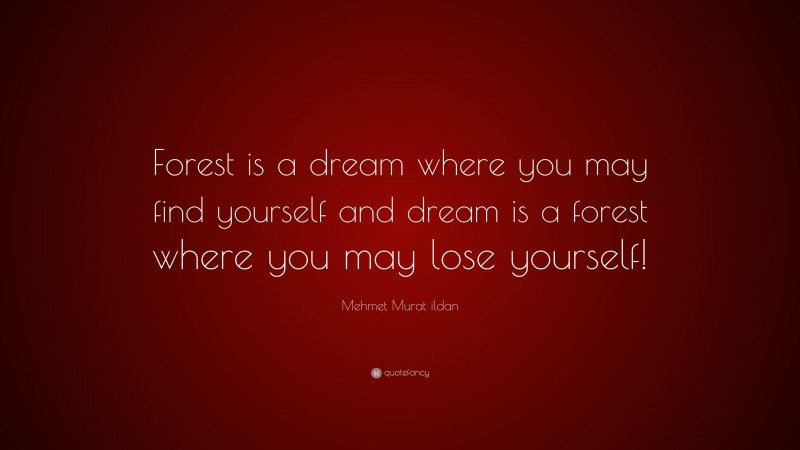 Mehmet Murat ildan Quote: “Forest is a dream where you may find yourself and dream is a forest where you may lose yourself!”