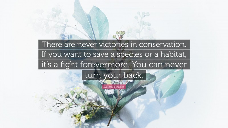 George Schaller Quote: “There are never victories in conservation. If you want to save a species or a habitat, it’s a fight forevermore. You can never turn your back.”