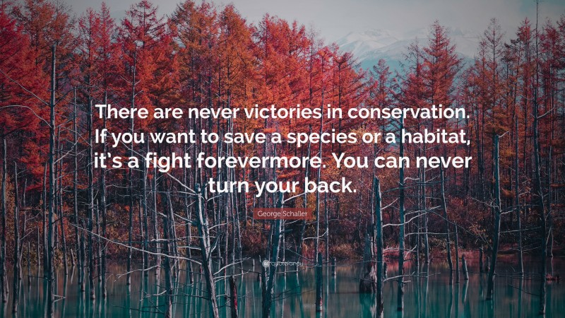 George Schaller Quote: “There are never victories in conservation. If you want to save a species or a habitat, it’s a fight forevermore. You can never turn your back.”
