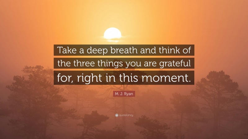 M. J. Ryan Quote: “Take a deep breath and think of the three things you are grateful for, right in this moment.”