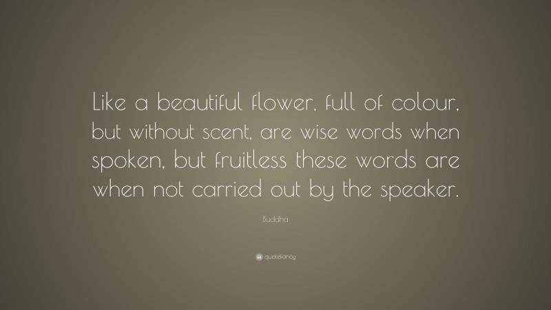 Buddha Quote: “Like a beautiful flower, full of colour, but without scent, are wise words when spoken, but fruitless these words are when not carried out by the speaker.”
