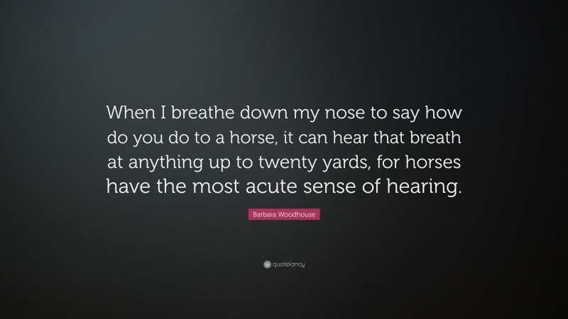 Barbara Woodhouse Quote: “When I breathe down my nose to say how do you do to a horse, it can hear that breath at anything up to twenty yards, for horses have the most acute sense of hearing.”