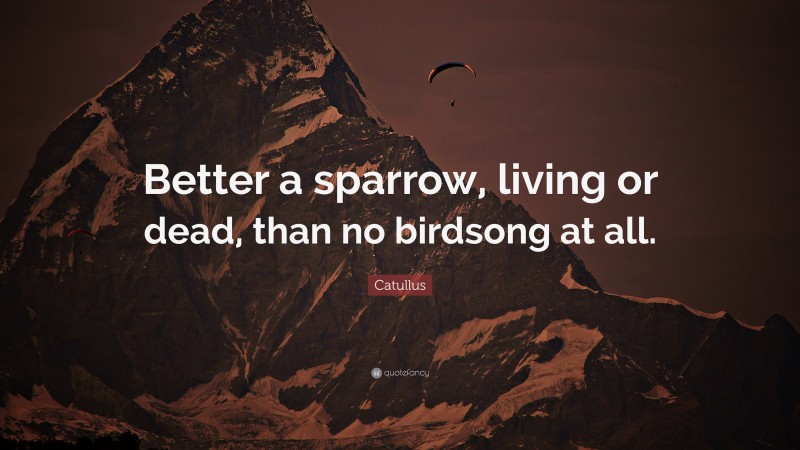 Catullus Quote: “Better a sparrow, living or dead, than no birdsong at all.”