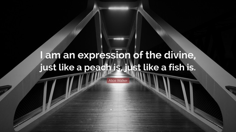 Alice Walker Quote: “I am an expression of the divine, just like a peach is, just like a fish is.”