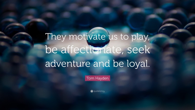 Tom Hayden Quote: “They motivate us to play, be affectionate, seek adventure and be loyal.”