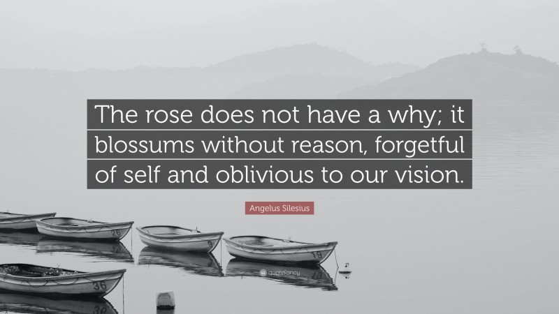 Angelus Silesius Quote: “The rose does not have a why; it blossums without reason, forgetful of self and oblivious to our vision.”